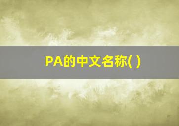 PA的中文名称( )